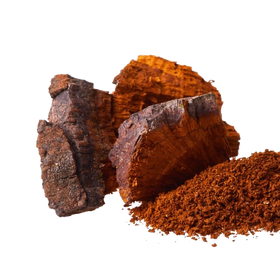 Chaga